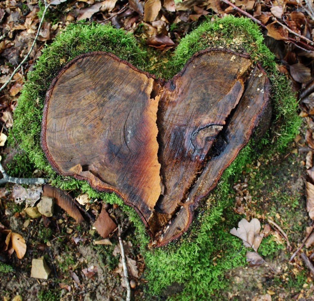 La nature nous offre des souvenirs incroyables !