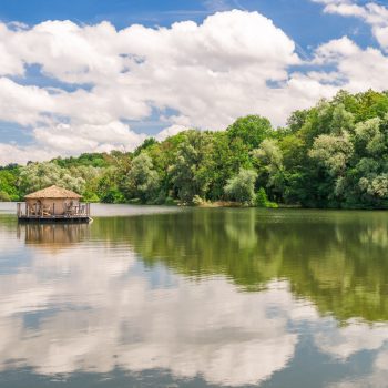 CABANE SPA NENUPHAR - COUCOO GRANDS LACS