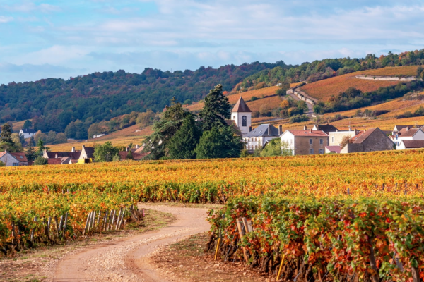 Franche-Comté - haute-saône